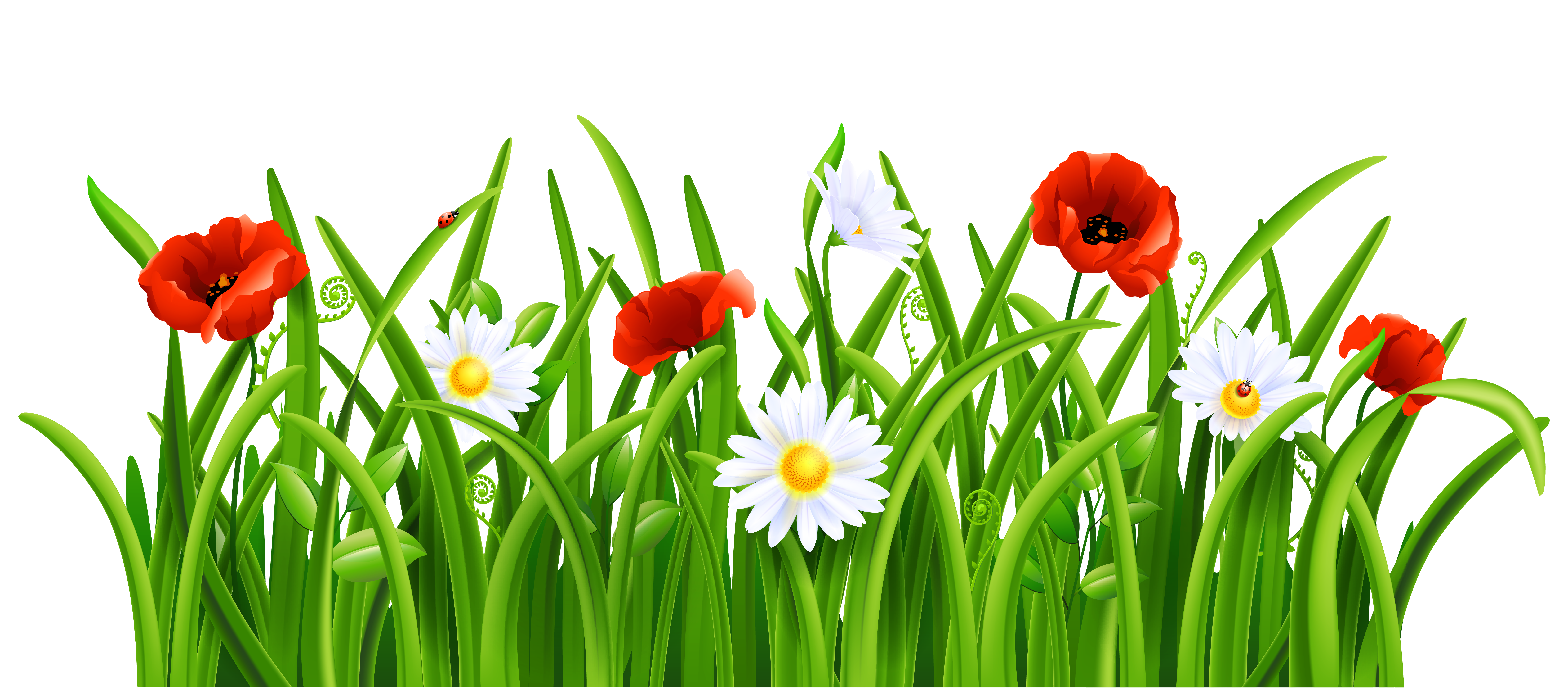 Grass With Flowers Png Clipart Cartoon Flowers And Grass Transparent ...