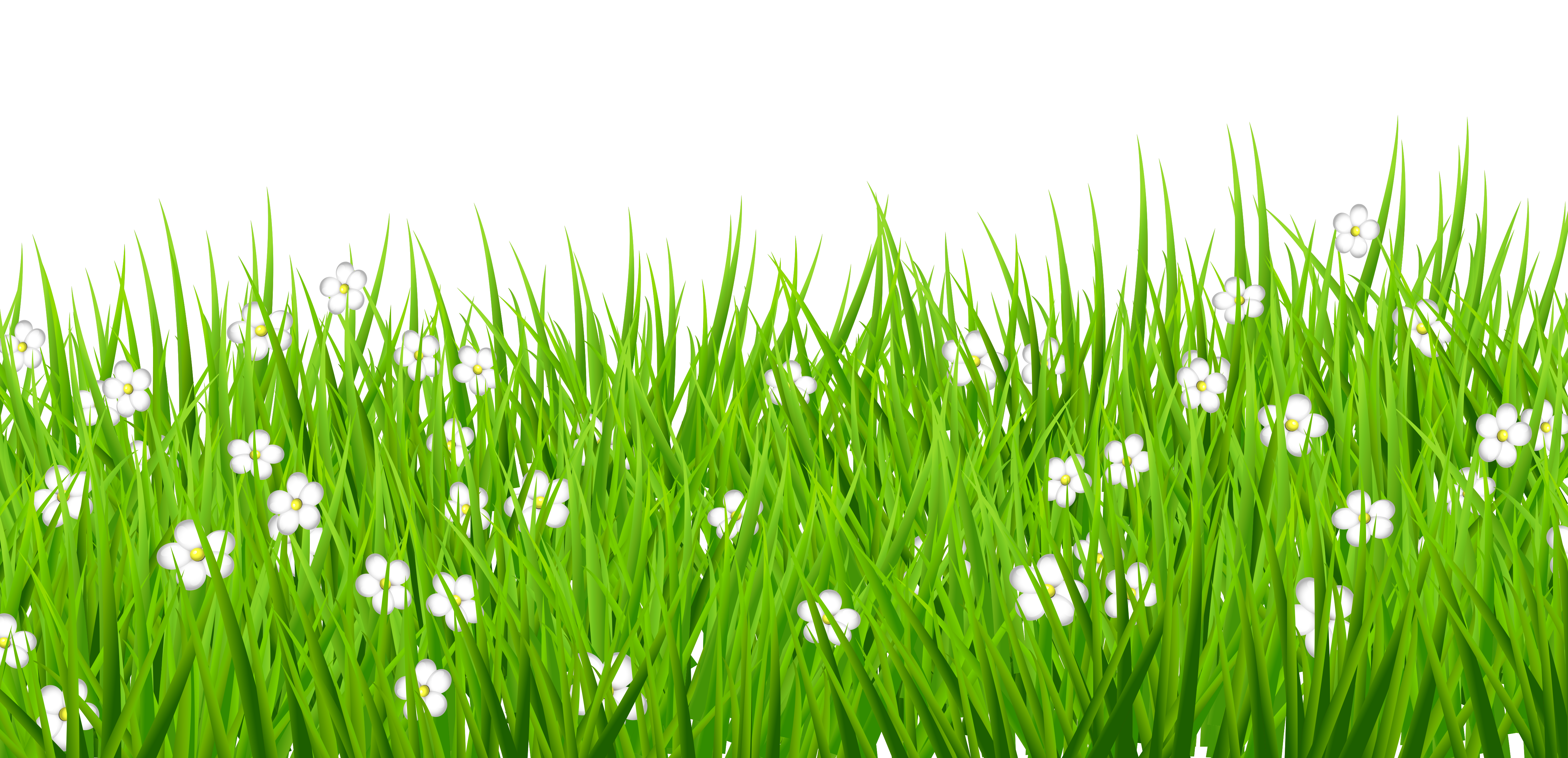Grass Ground With White Flowers Png Clip Art Image Clip Art Library ...