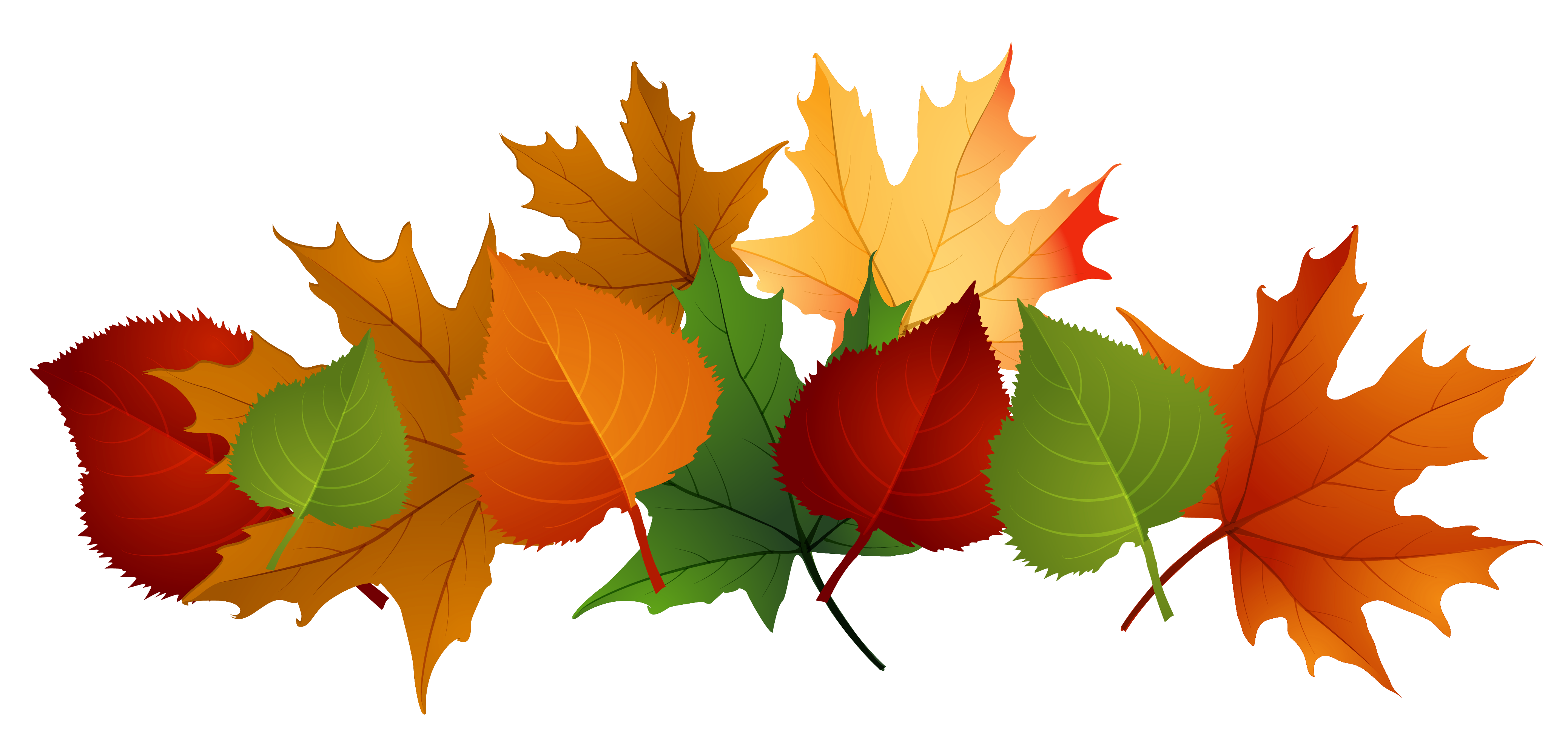 Autumn leaves background clipart – bkmn