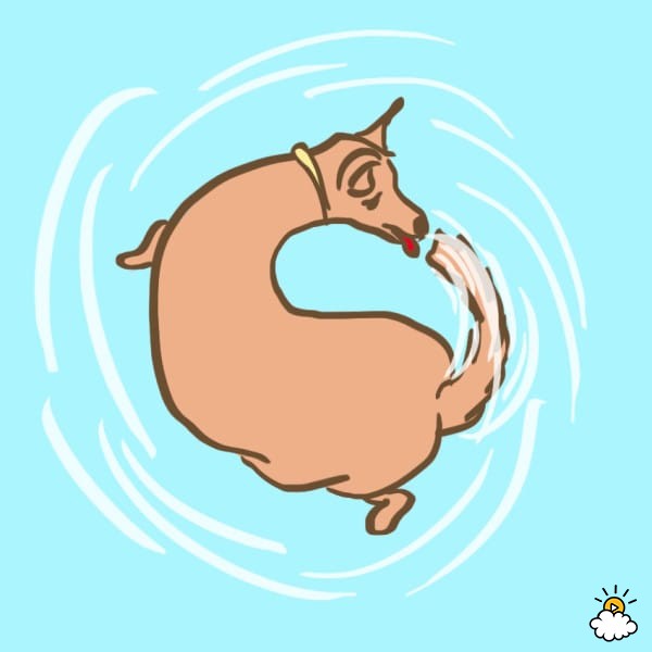 Pooping Pig Cliparts