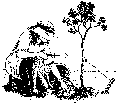 Compost Clip Art Pg 7