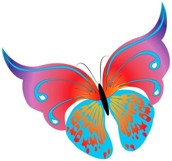 Fuschia Butterfly Cliparts