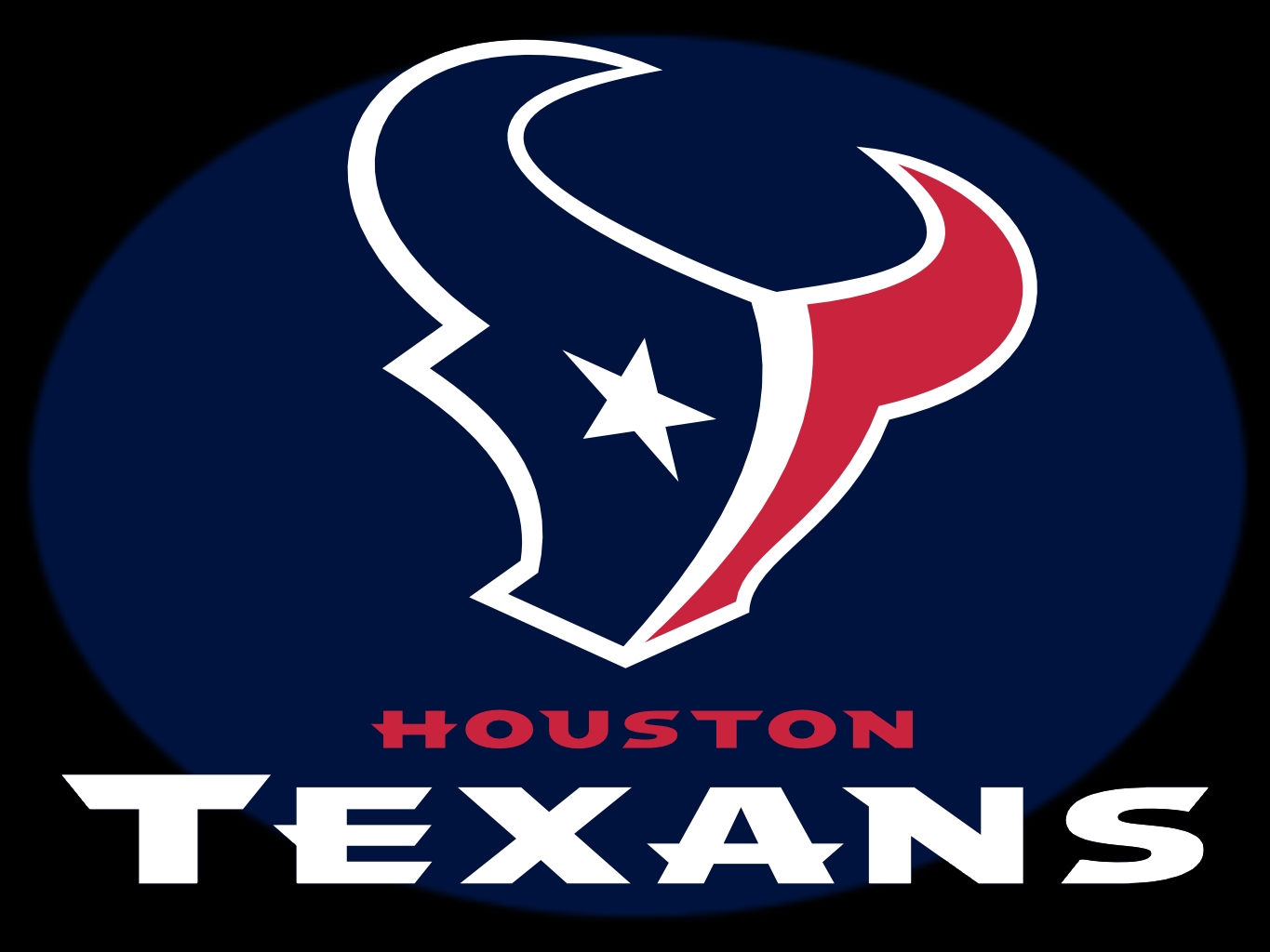 1. Houston Texans Nail Art Stickers - wide 6