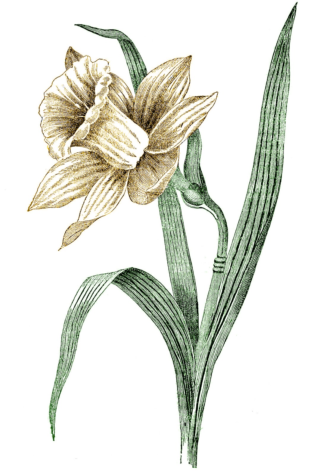 Vintage Spring Clip Art