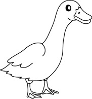 Free black and white clipart image ducks
