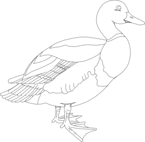 Black And White Duck Clip Art at Clker