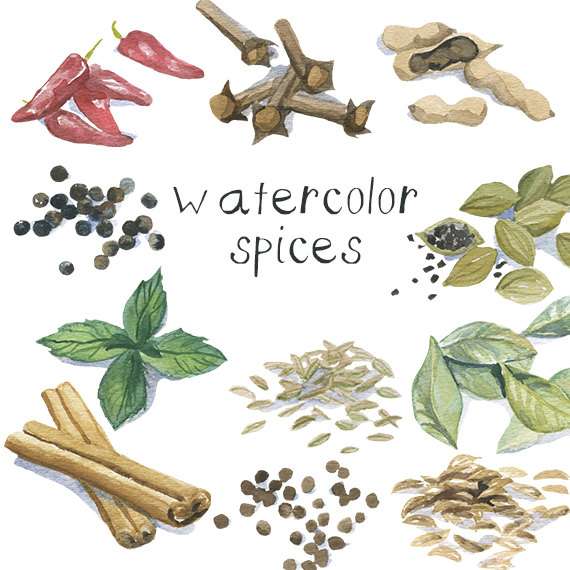 Watercolor Spice Plant Flower Clip Art for by DigitalPressCreation 