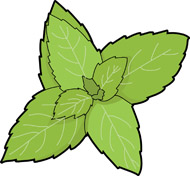 Free Herbs and Spice Clipart