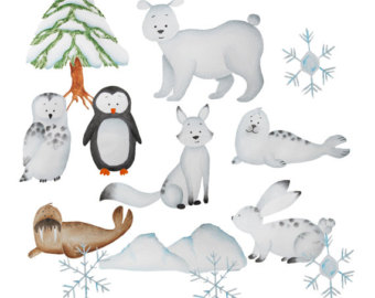 who am i snowy animals clipart