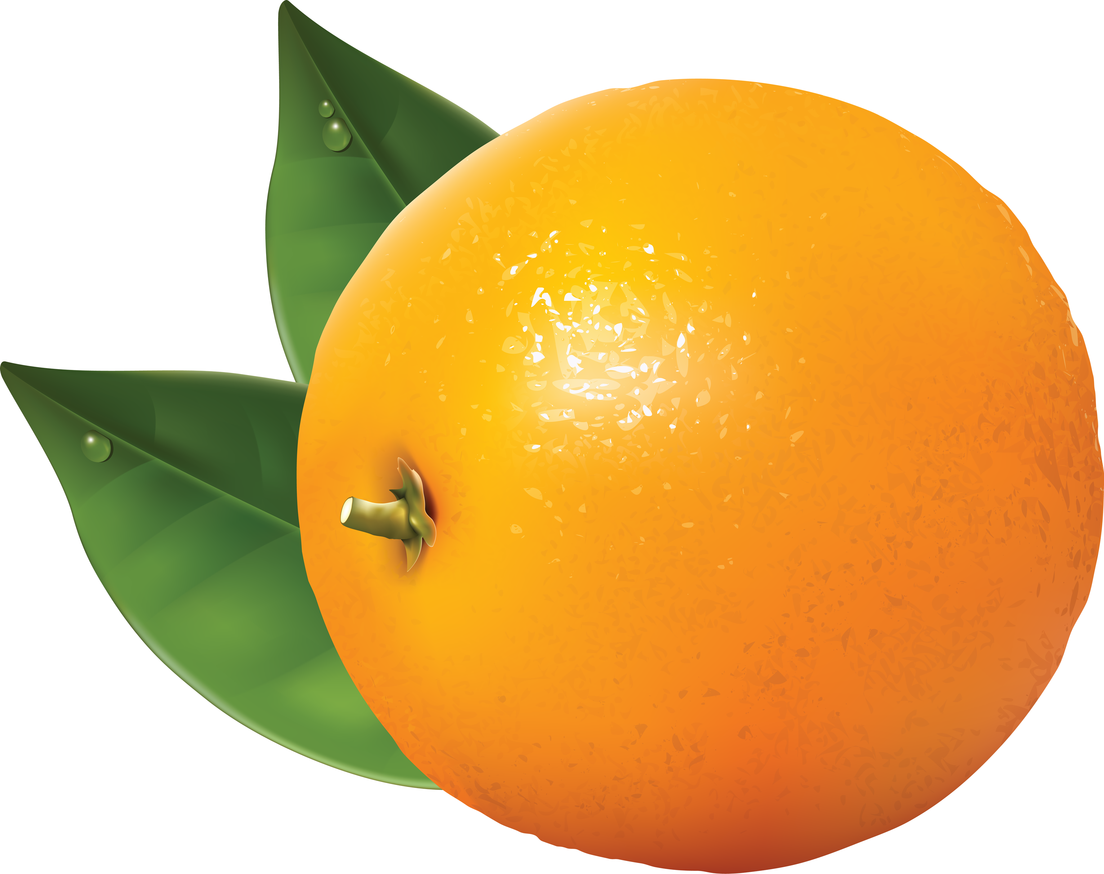 Orange fruit clipart png