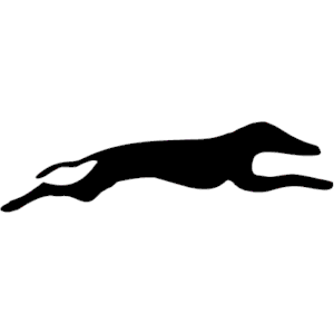 Greyhound clipart, cliparts of Greyhound free download