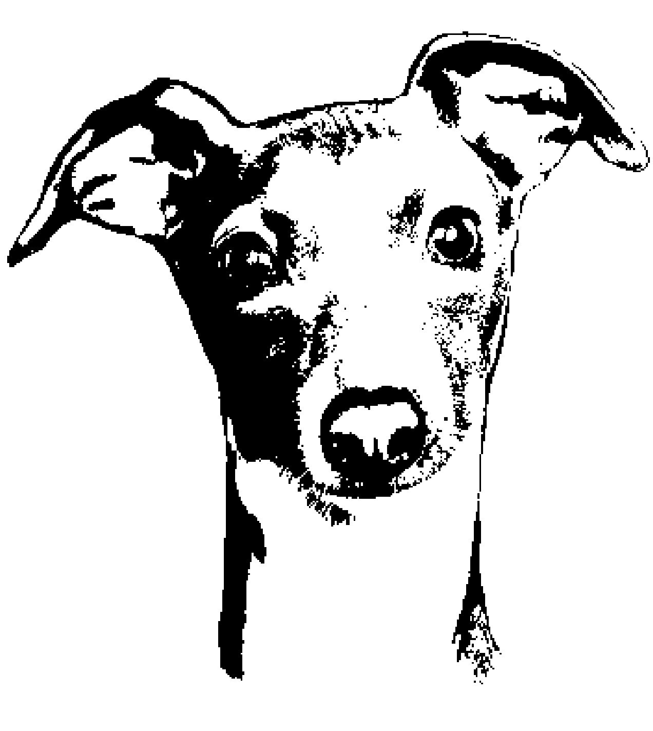 Italian greyhound clipart