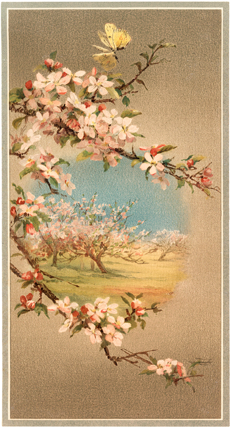 Free Flowering Branches Clip Art!