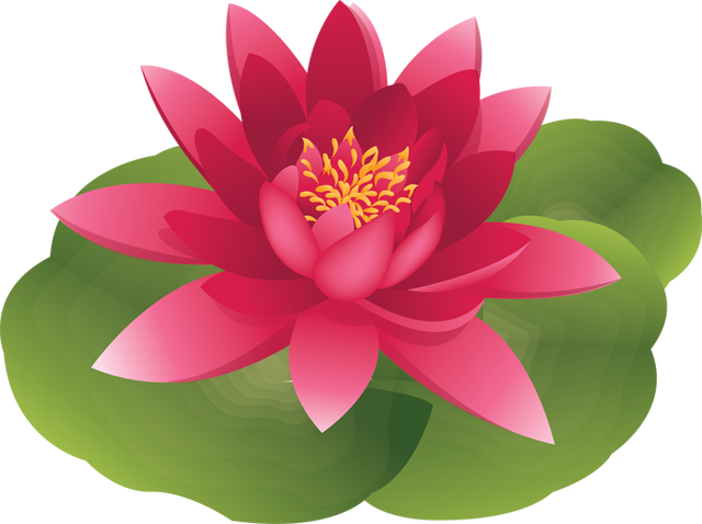 Water lily pond clipart