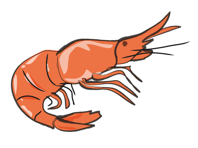 Cajun Shrimp Cliparts