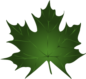 Green Pumpkin Cliparts