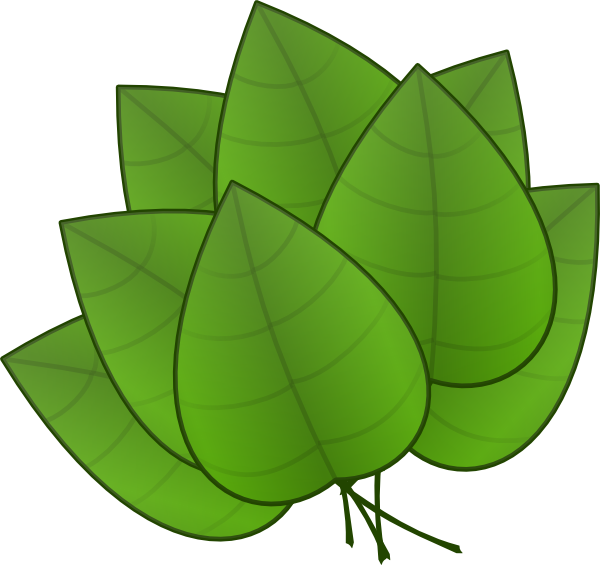 Green Pumpkin Cliparts