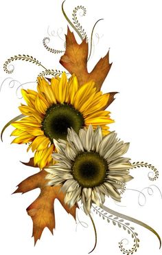 Fall Flowers Clipart