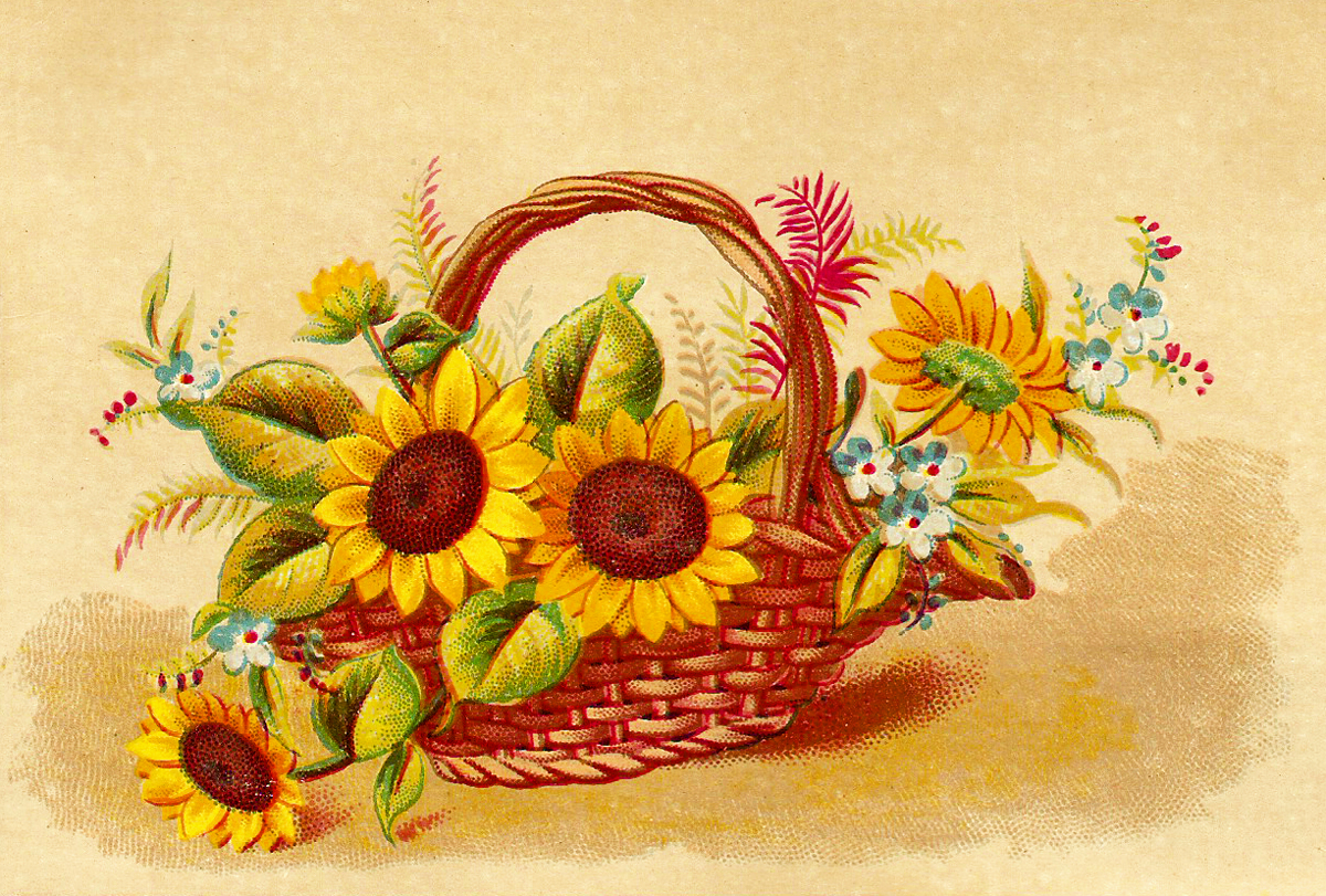 Free Fall Flowers Cliparts Download Free Fall Flowers Cliparts Png 