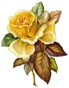 Fall Flowers Clipart