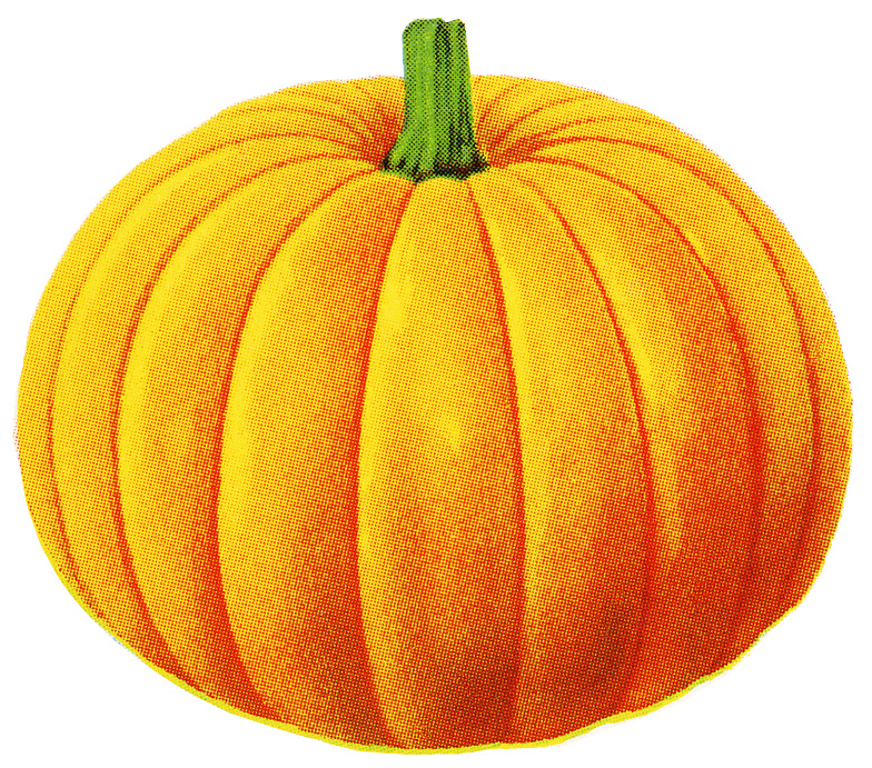 Pumpkin Clipart