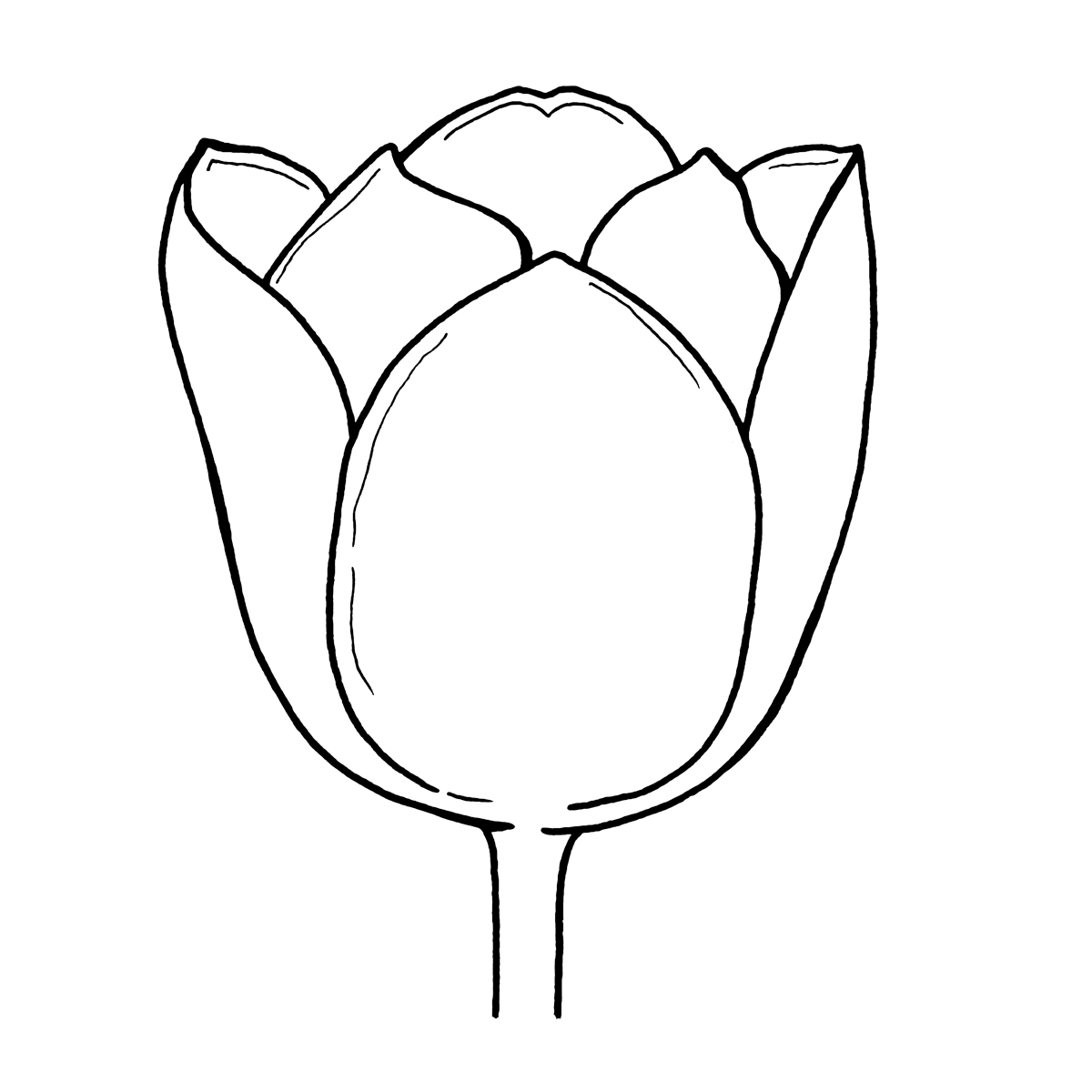 Tulip Flower Clip Art Outline