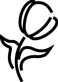 Tulip Outline Cliparts