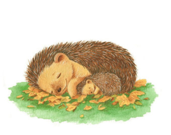 Hedgehog Cliparts Free