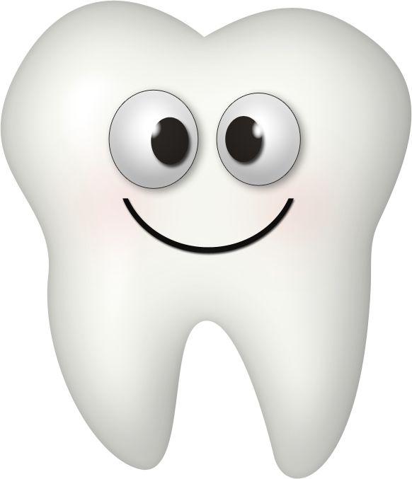 Dental Money Cliparts