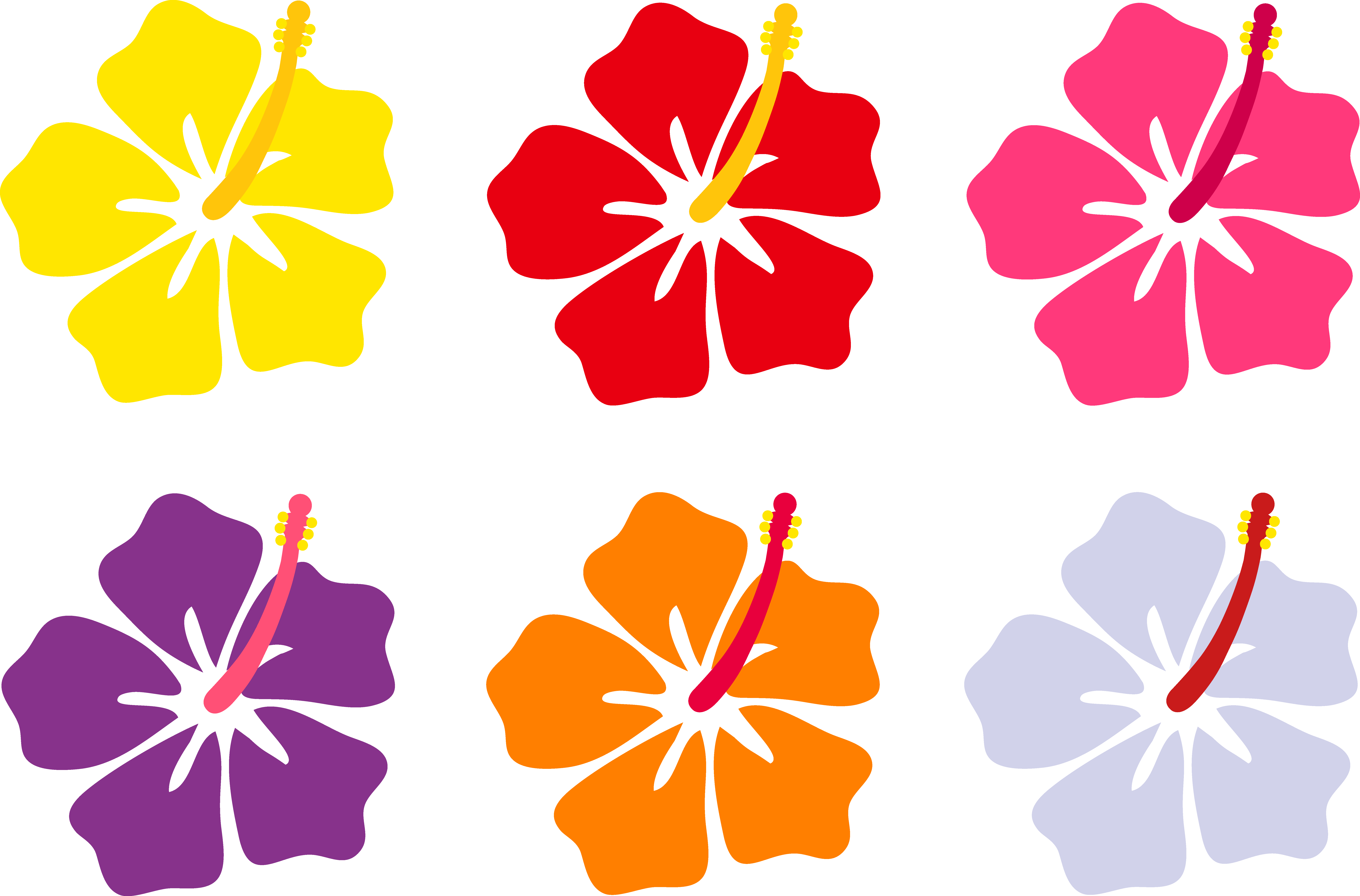 Cartoon Hibiscus Flower