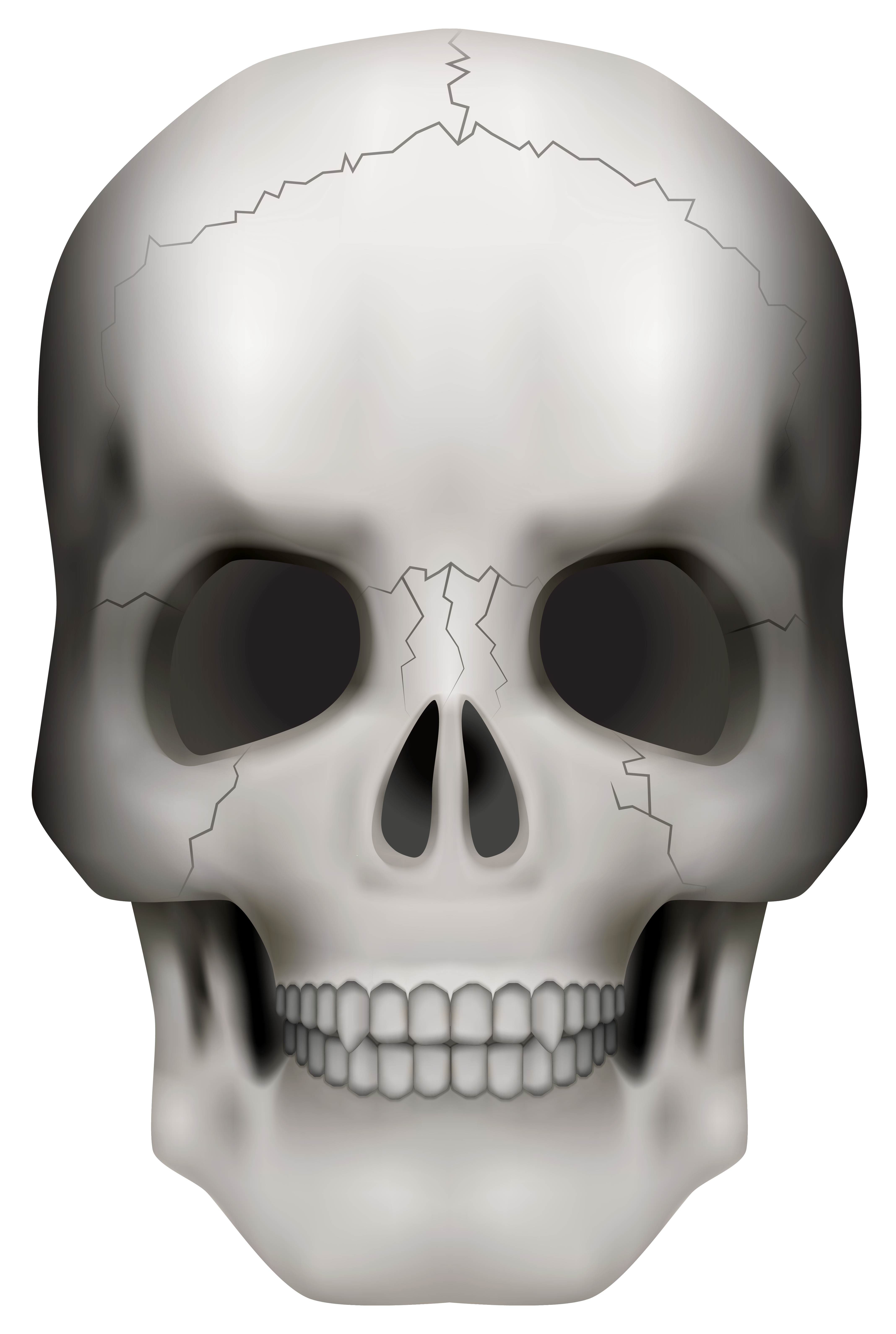 Skull PNG Clipart Image