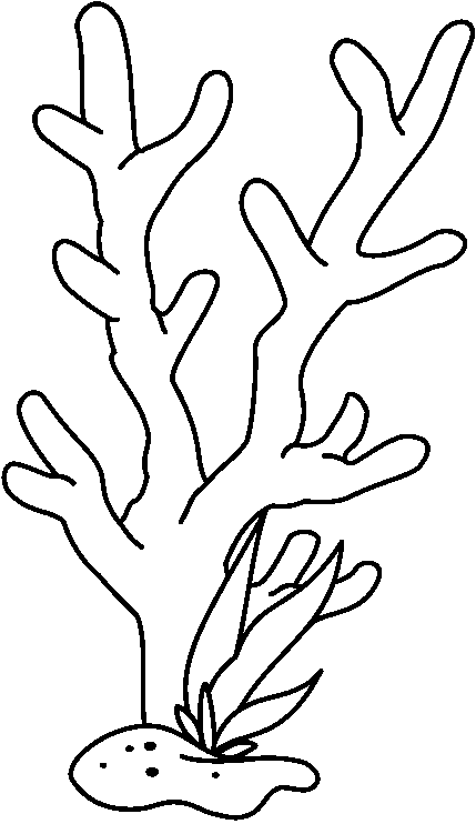 Coral black and white drawing
