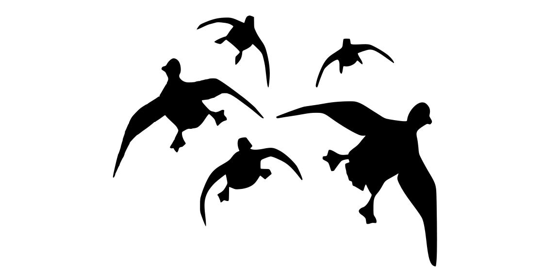 ducks landing silhouette