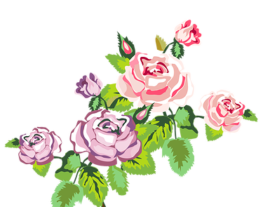 Rose Vector Png
