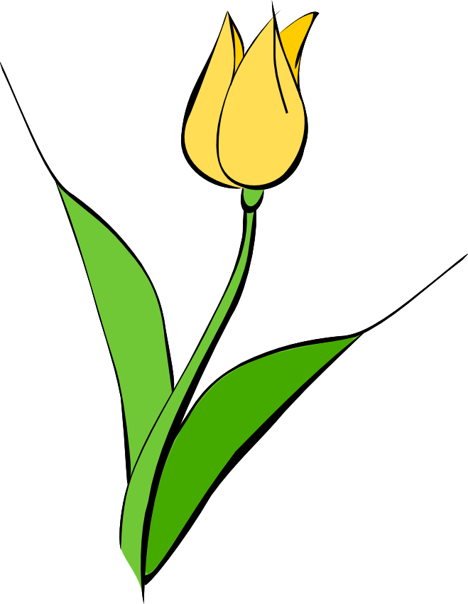 Tulips Clipart Clip Art Library