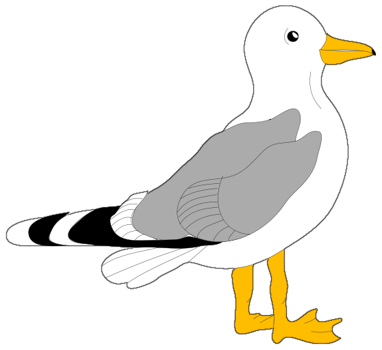Cute seagull clipart