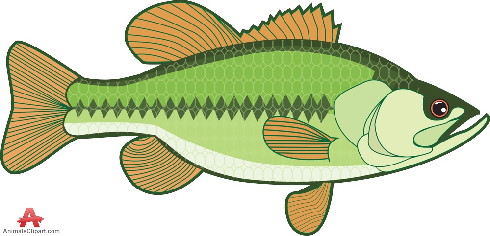 Bass fish head clipart free
