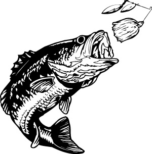 Walleye Outline Cliparts