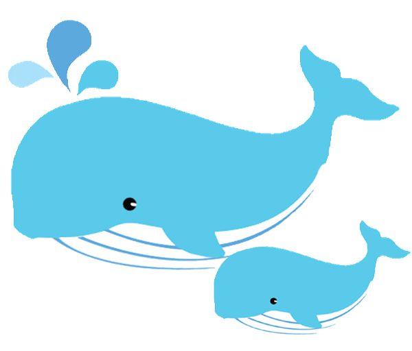 dolphin clip art with transparent background