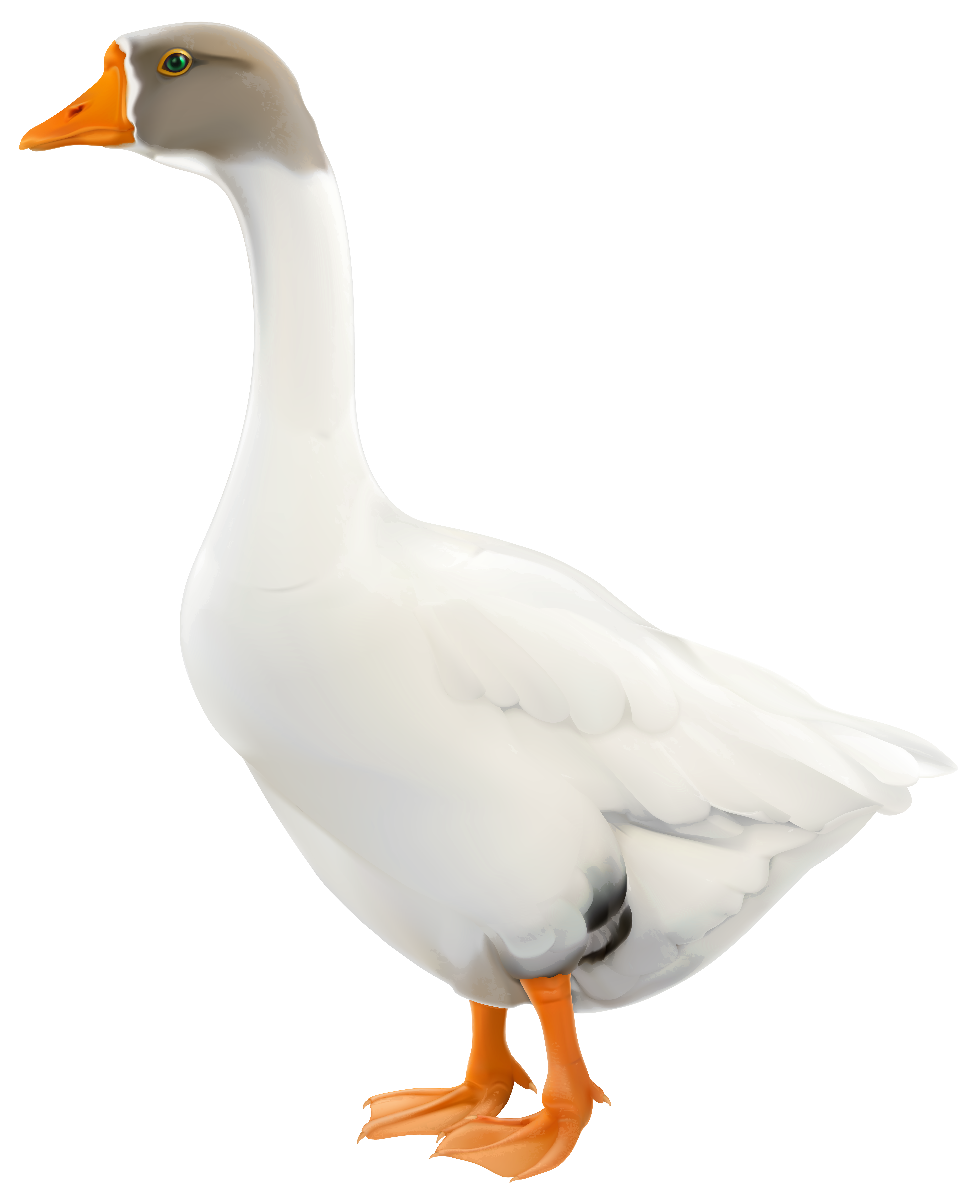 Goose PNG Clip Art Image
