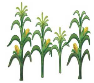 Corn stalk farm free clipart