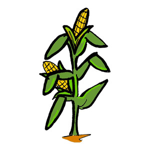 Free Corn Stalk Clipart Black And White, Download Free Corn Stalk ...