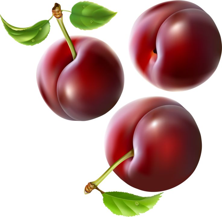 Clipart