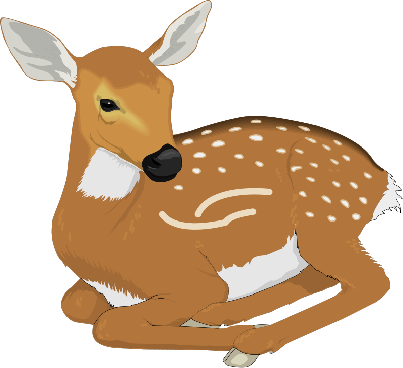 Nebraska Animal Cliparts