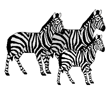 Zebra Clip Art