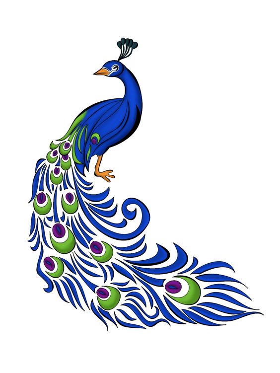 Peacock Feather Border Clipart