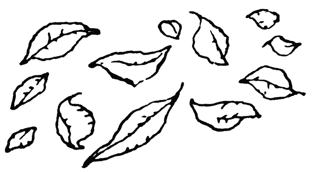 Black and white leaves clipart
