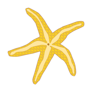 Beach Cliparts Animals