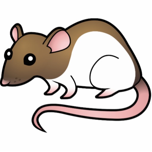 Cartoon Picture Of A Rat