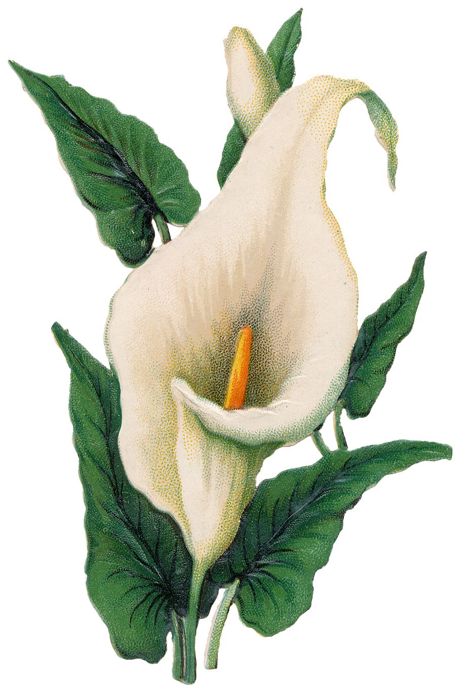 He Arose Cliparts